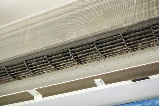 Best Air Vent Cleaning Services  in Dike, IA